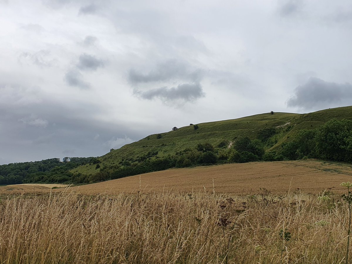 TheWanderingAc1's tweet photo. Hambledon Hill, Dorset for #hillfortswednesday https://t.co/ZUCxMmMQhM