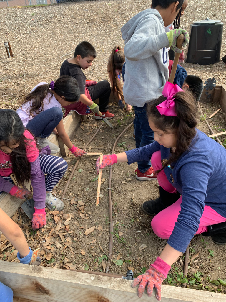 Meet our #CAGreenRibbon School, Gold Award, Georgia Morris Elementary - Rialto Unified!

Morris has vegetable gardens, California native plant gardens, citrus groves, bottled water refilling stations, and an outdoor classroom where students learn cross-curricular subjects outside
