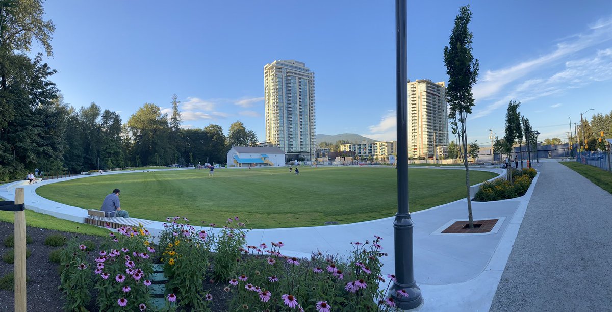 A Tuesday evening at  #SeylynnPark in  #northvan. ~ 3 dozen people enjoying the space in different ways. A man alone with headphones in. A woman reading a book with her 2 dogs. 3 skaters filming tricks on an improvised ramp. 4 people throwing a frisbee, while 2 toddlers watch.