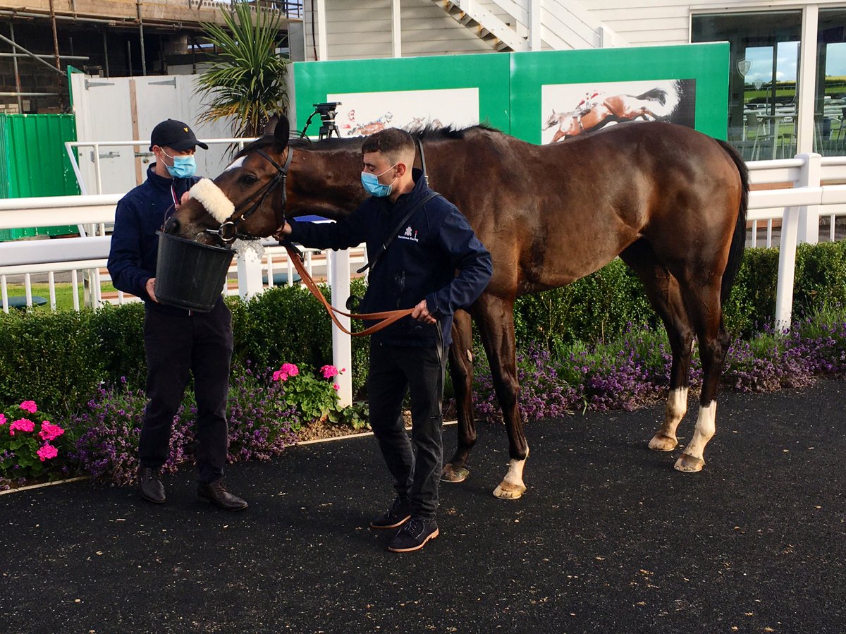 CatterickRaces's tweet photo. STARS IN THE NIGHT wins The New @SportingLife App Maiden Stakes under @StottKevin for @kevinryanracing and @HambletonRacing - congratulations! π https://t.co/kkasWETYc2