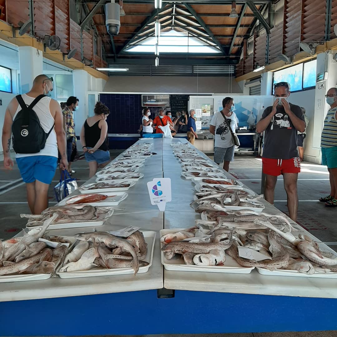 soniasc94's tweet photo. Subasta del pescado🐠🐟🦈 #subhasta #fishauction #venteauxenchères @CampelloTurismo https://t.co/SwB53cPJmU