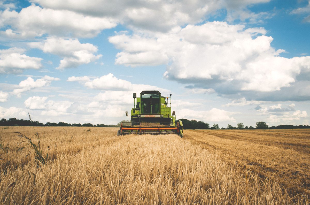 YMCAExchanges's tweet photo. Did you know that 98% of Canadian dairy farms are family owned and family run, and that there are about 11,280 fairy farms in Canada? For this week’s #YExchangesTogetherAtHome, immerse yourself in Canada’s farms through FarmFood360’s virtual tours! https://t.co/syADP16z05 https://t.co/fSIHWQYT9w