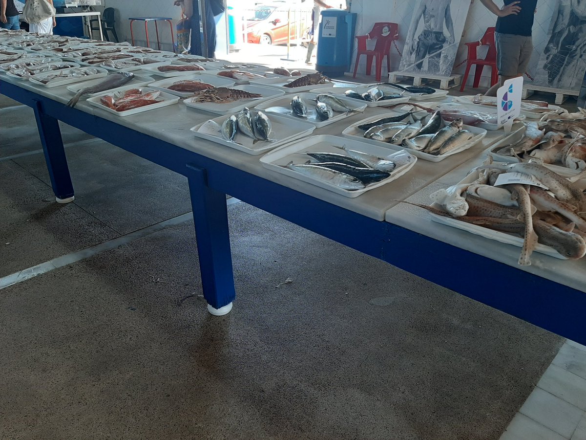 soniasc94's tweet photo. Subasta del pescado🐠🐟🦈 #subhasta #fishauction #venteauxenchères @CampelloTurismo https://t.co/SwB53cPJmU