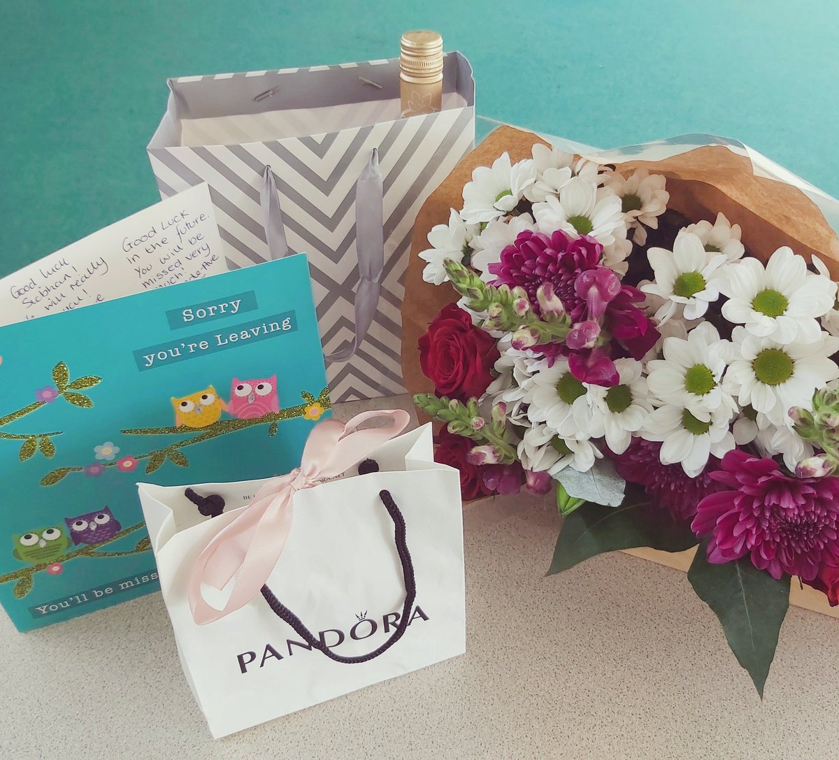 MissSLHagan's tweet photo. It's official, I've passed my NQT year!! I'm definitely going to miss my class and colleagues, but excited for my masters in September! 💚 https://t.co/jqYKjI1ncf