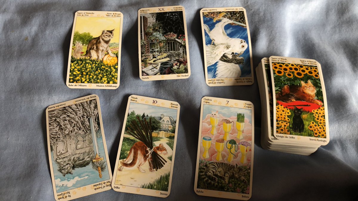  do you want to move forward in life? nothing is stopping you except you. shrug off the dead weight and see things for what they are. blessings are coming, don’t reject them.