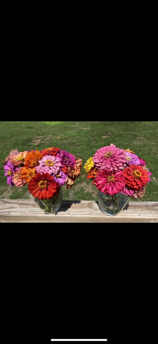 HollyroseAbrams's tweet photo. I successfully grew flowers!!!!🌺🌸🌼🌻🌹🌷 https://t.co/HDt2rlooE2