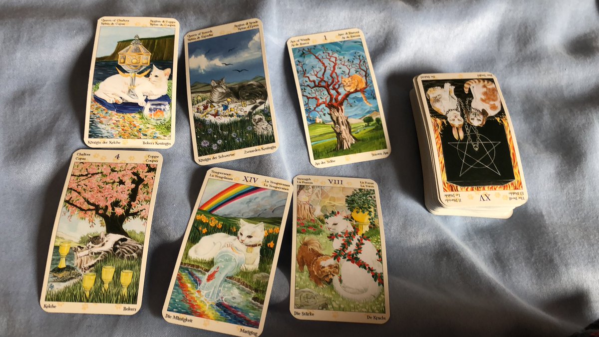  hold your cards close to your chest and remember why you started. it’s smooth sailing if you want it, it’s all dependent on you. don’t hold back any more.