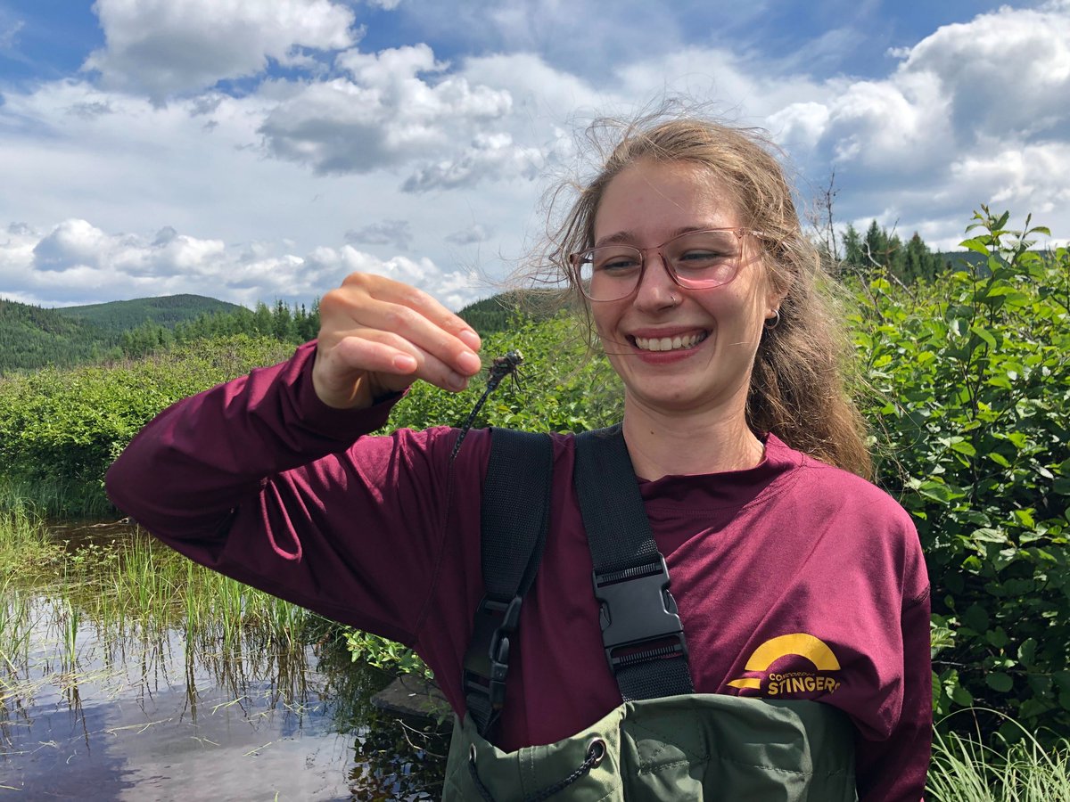 Undergraduate students Maggie Blondeau <a href="/biologyatCU/">Biology at Concordia</a> <a href="/Concordia/">Concordia University</a> conducting cutting-edge research on Dragonfly parasites and immune response in beautiful Boreal forests of Quebec <a href="/reseausepaq/">Sépaq</a>. We're looking for motivated undergrad and grad students to join our team! Please RT!