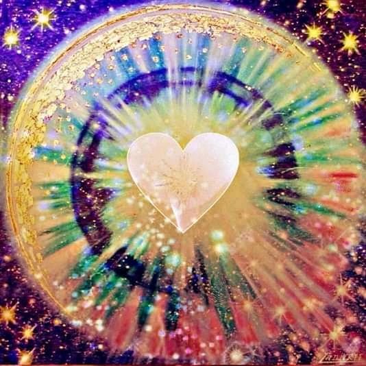 Joy Dolphin tweet media