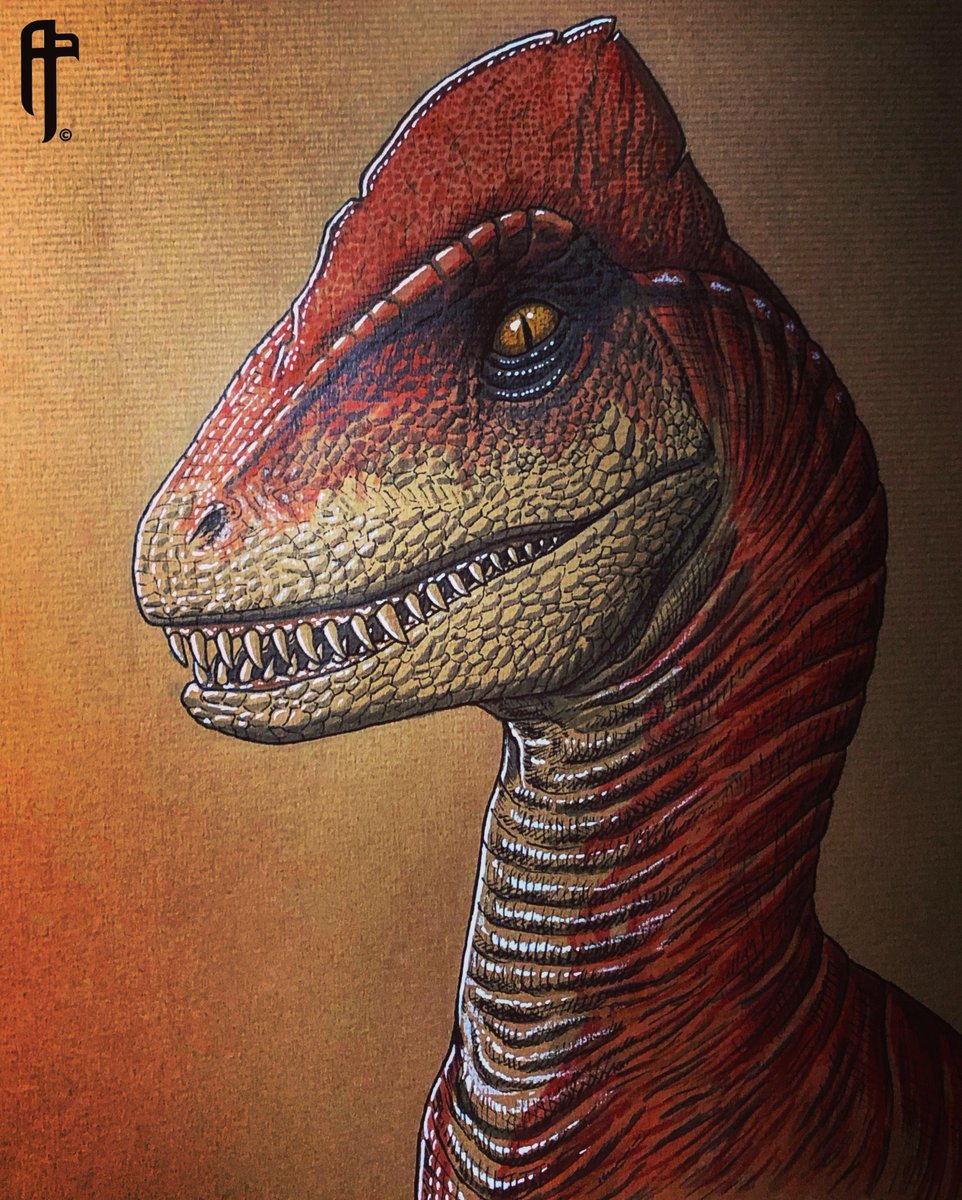 Jurassic World Evolution 3 tweet media