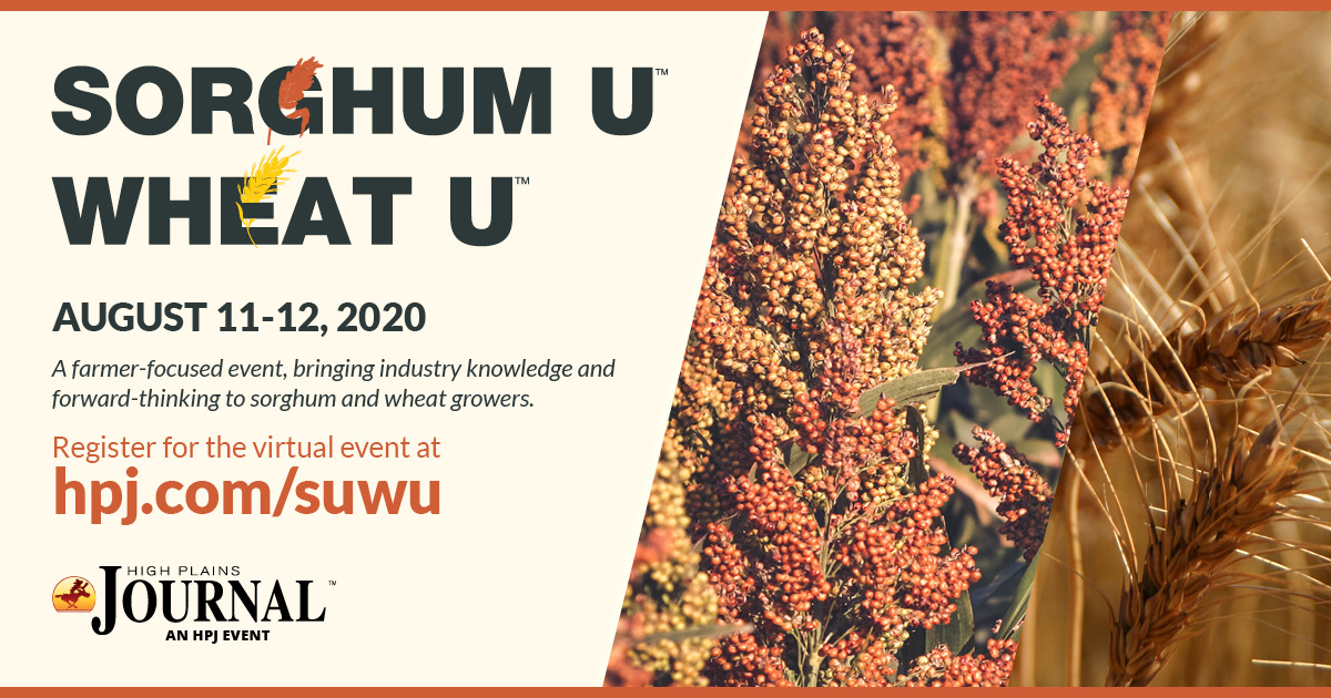 HighPlainsJrnl's tweet photo. Sorghum U - Wheat U 2020 will transition to a series of live webinars on August 11 and 12.

For more information and to register, visit https://t.co/3Yx6A0Tlso
#sorghumu #wheatu #suwu2020 https://t.co/vb2MAkwrMf