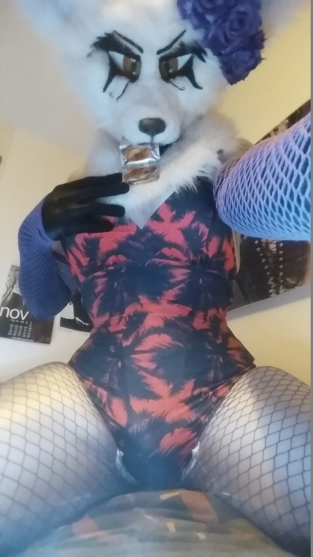 1 pic. How's your summer? Mine is pretty horny ❤️❤️❤️ #nsfw #murrsuit #softsuit #furry #furryfandom #fursuit https://t.co/s1Kc0UX0PS