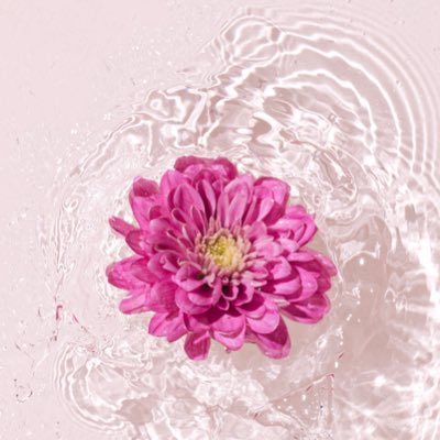Alexa352's tweet photo. #NouvellePhotoDeProfil https://t.co/7awr6PAb1p