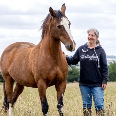 PoloPastures's tweet photo. #NewProfilePic https://t.co/5wLQ7Bm68F