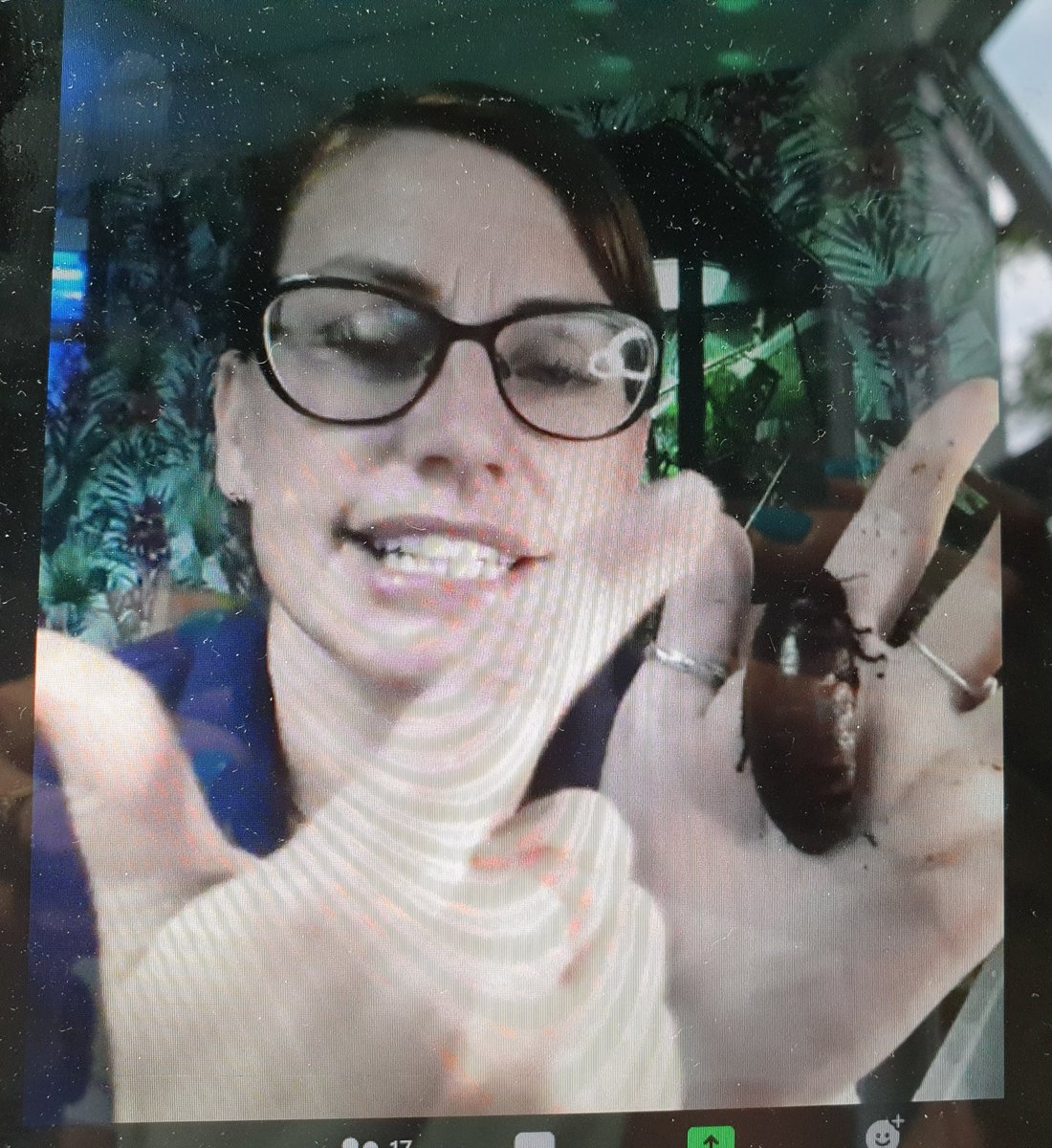 jessreddy27's tweet image. What a great evening with @littlezootoyou at our final Cub meeting of term. Thank you so much Gemma for stepping in such last minute. We all loved it! #cubscouts @1ststneotsscout #virtualscouting #canwenamethesnaildave