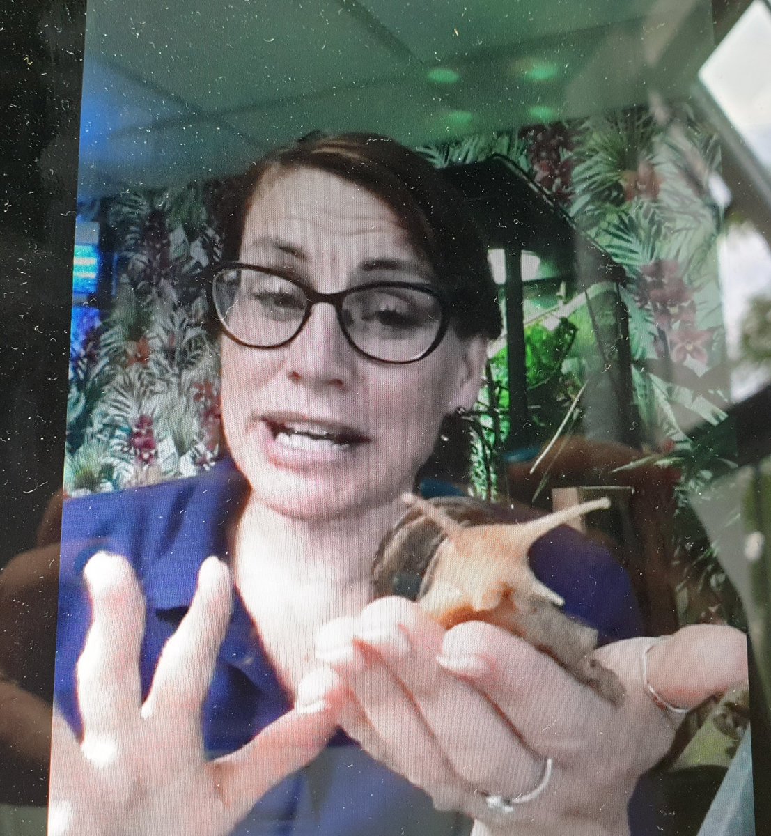 jessreddy27's tweet image. What a great evening with @littlezootoyou at our final Cub meeting of term. Thank you so much Gemma for stepping in such last minute. We all loved it! #cubscouts @1ststneotsscout #virtualscouting #canwenamethesnaildave