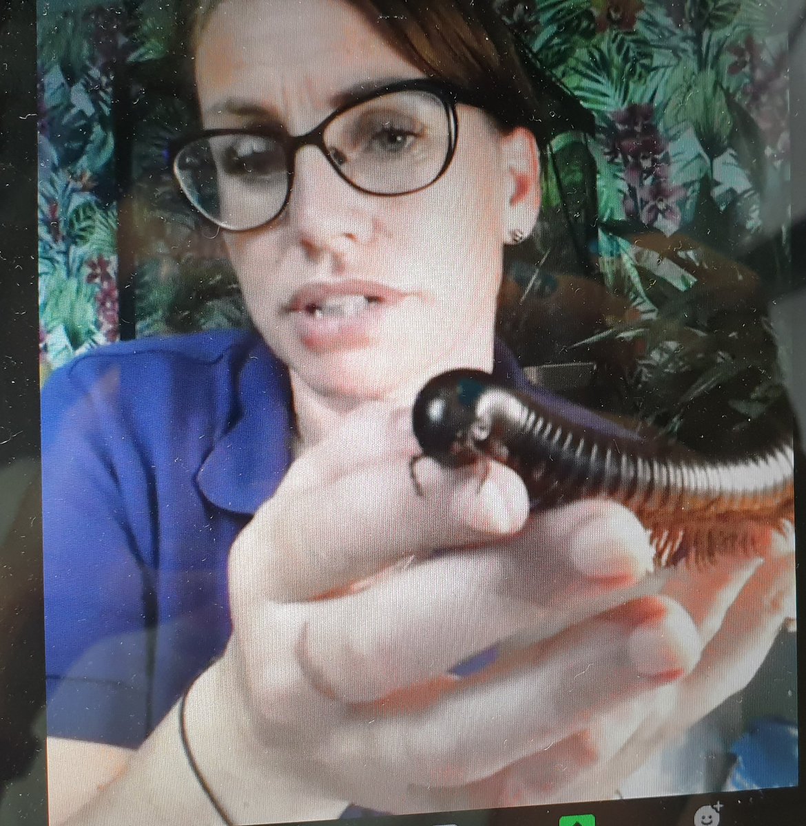 jessreddy27's tweet image. What a great evening with @littlezootoyou at our final Cub meeting of term. Thank you so much Gemma for stepping in such last minute. We all loved it! #cubscouts @1ststneotsscout #virtualscouting #canwenamethesnaildave