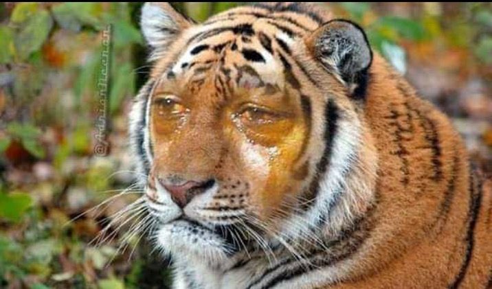 Alex_Rusted's tweet photo. @HullCity https://t.co/IsBjh7CvHM