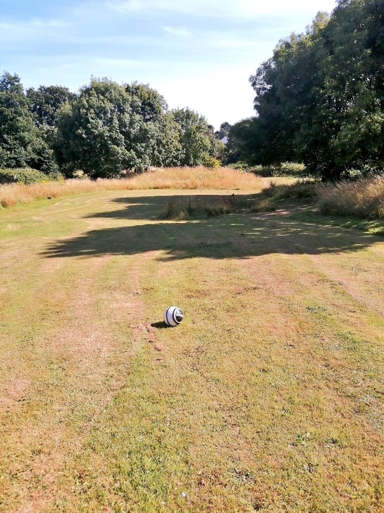stufergusonmg's tweet photo. 29 To the Turn! Cheeky nine holes in the evening. #BigHoles #BigBall #BigRough #cherishthegoodturf https://t.co/k4lzjox7LY
