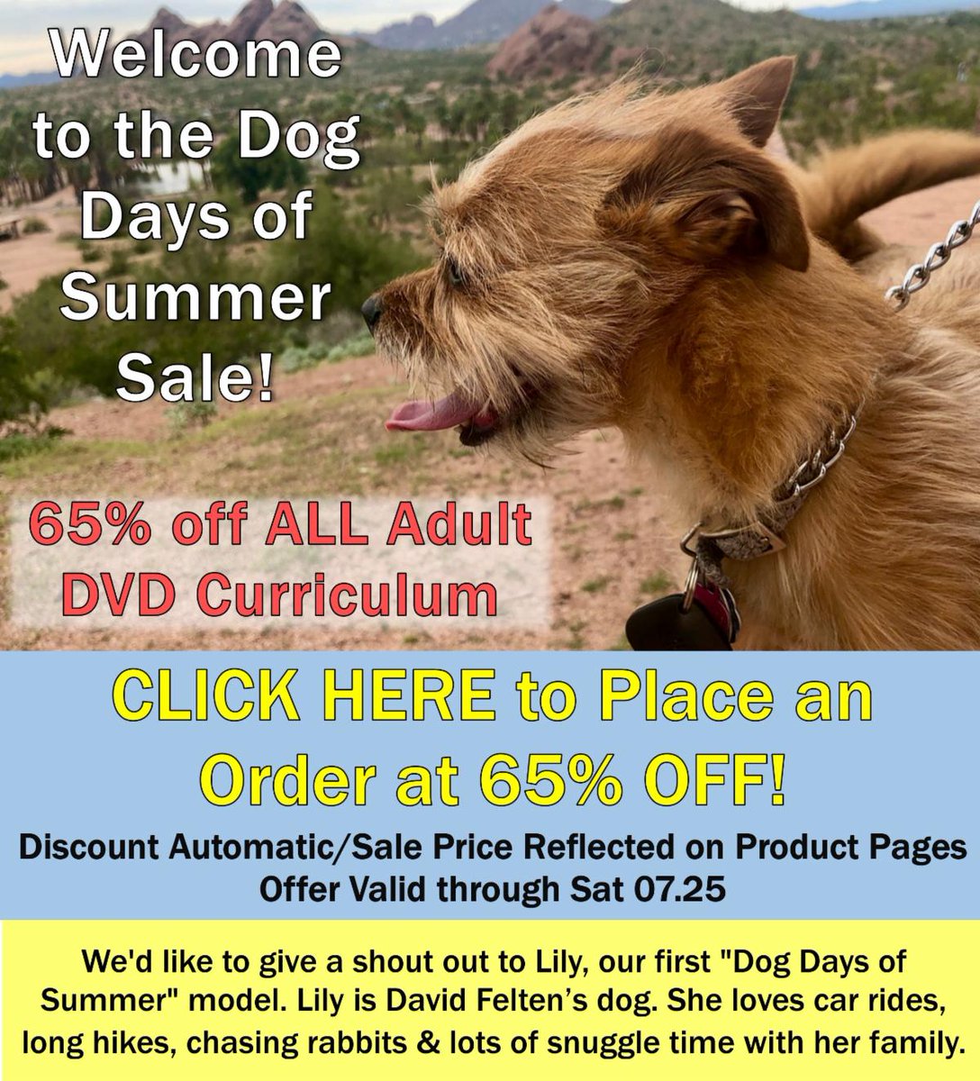 65% Off ALL Adult DVD Curriculum - Limited Time Offer to Welcome the Dog Days of Summer #LTQ #livingthequestions #progressivechristianity conta.cc/32JrO3G