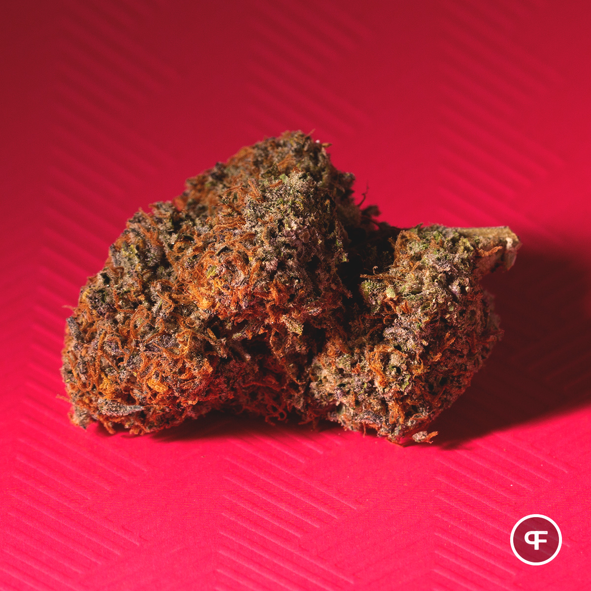 PhantomFarms's tweet photo. 🔥Kandy Kush🔥

#mightytastycannabis #phantomfarms #terps #marijuana #420 #cannabiscommunity #weed #weedstagram https://t.co/E4YJJlgCa9
