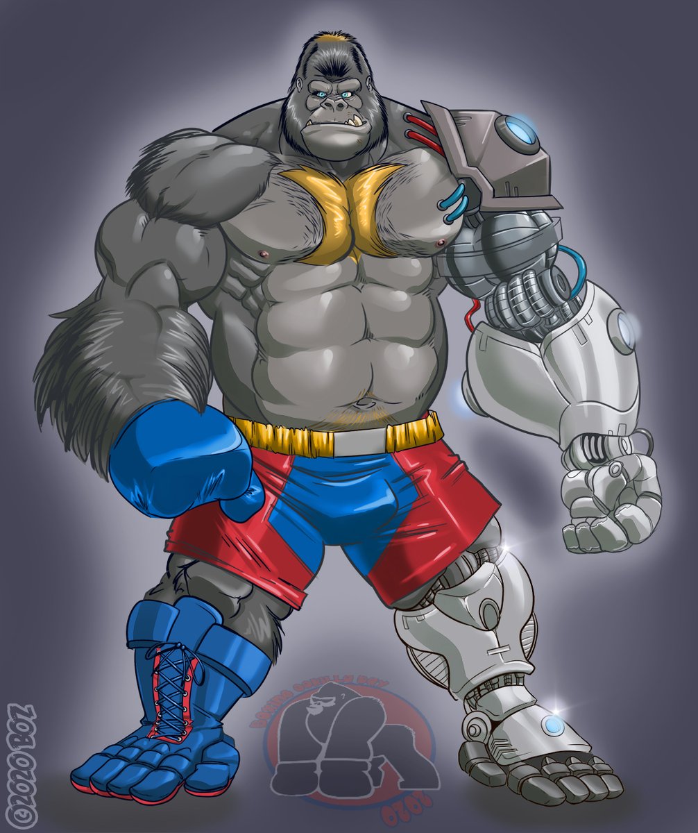 #BoxingGorillaDay