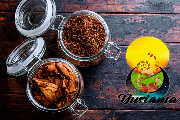 yusiama's tweet photo. El Tabaco que no es industrial guía y conecta a mujeres y hombres con su ser espiritual y con lo espiritual de todo lo que sucede en nuestra madre tierra.
#TabacoYusiama en busca de la tradición. https://t.co/60ZzXcngZm