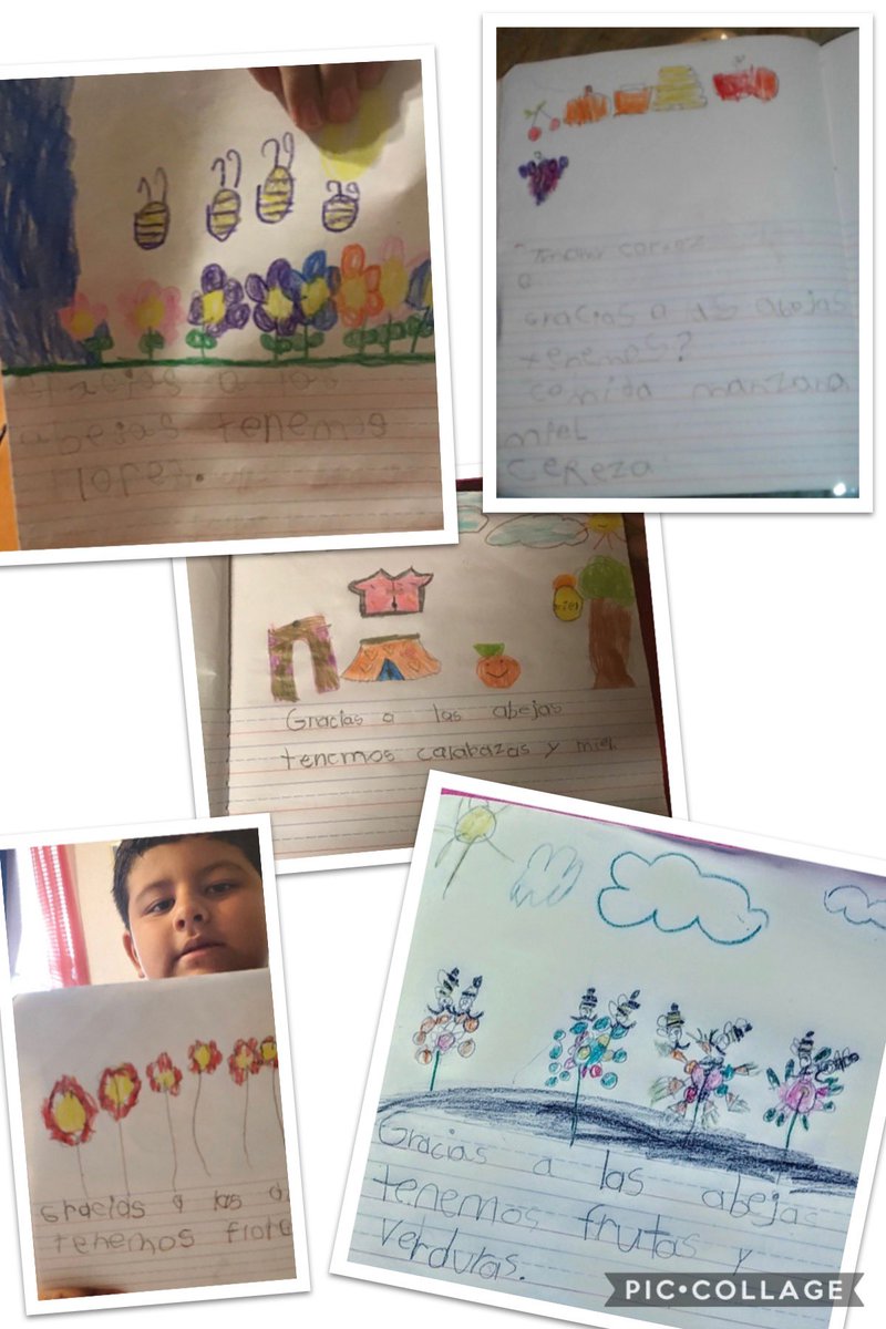 PatriciaRamon15's tweet photo. Aprendiendo sobre las abejas. π π» π π #bilingualsummerprogram #virtuallearning #firstgradebound #summerwriting @JRod_EISD @hugo_bil @EsparzaCL @EISDofSA https://t.co/cYYQ7jo5aV
