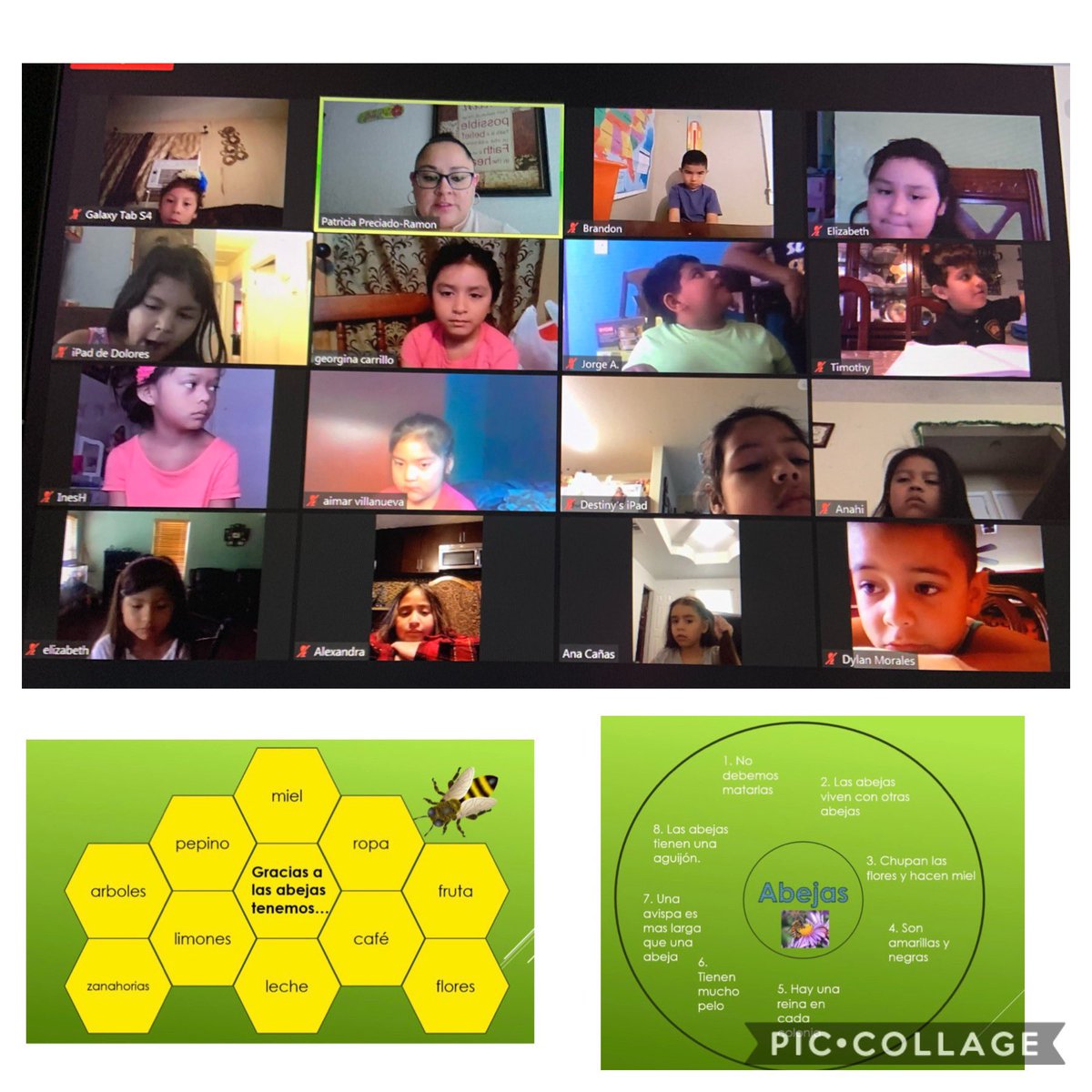 PatriciaRamon15's tweet photo. Aprendiendo sobre las abejas. π π» π π #bilingualsummerprogram #virtuallearning #firstgradebound #summerwriting @JRod_EISD @hugo_bil @EsparzaCL @EISDofSA https://t.co/cYYQ7jo5aV