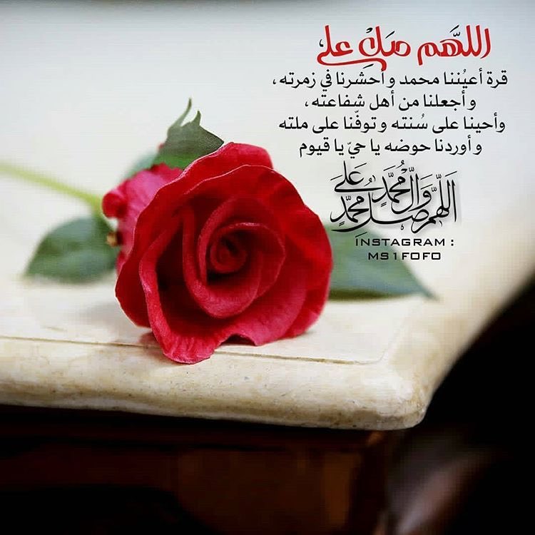 🍃🌻

وذڪـرك يـا رسـولَ الله زاد تضـاء بـهہ أسـاريـر الحيــاةِ فـاللهـم صـل وسلـم علـى نبينـا محمـدﷺ

🌻🍃

☘️#حور_العين☘️