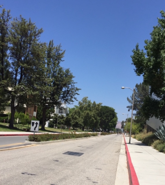CSUNIPP's tweet photo. The campus roads and pathways seem very empty today without our great international students. But we're all still #CSUNAsOne https://t.co/0KpCscIGtw