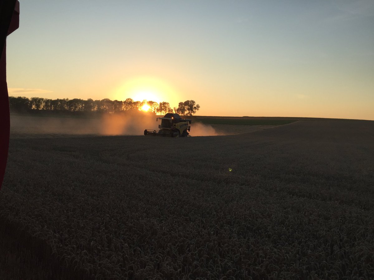 #moisson2020 bon présage pour du bon pain et de la matière pour #ethanol et #desinfectant