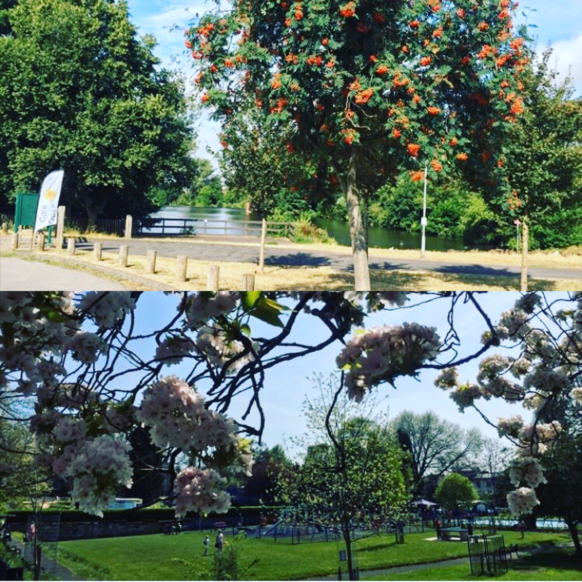 Active Youth Outreach Services CIC tweet media