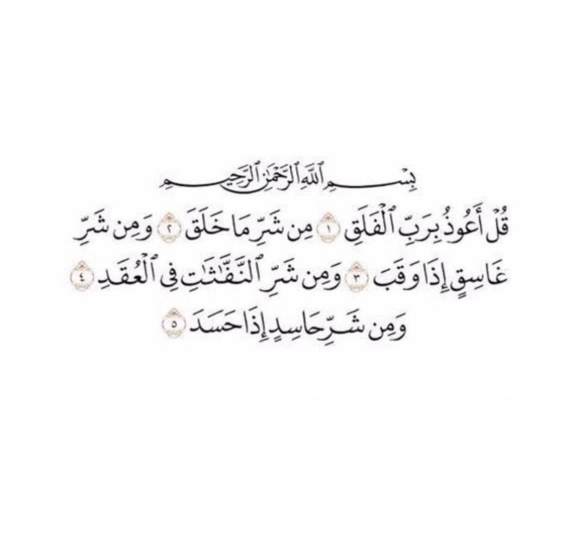 _alrm8's tweet photo. 🕊. https://t.co/zqhz37zjH5