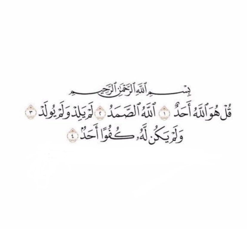 _alrm8's tweet photo. 🕊. https://t.co/zqhz37zjH5