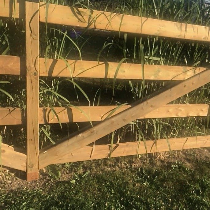 FenceArmorAl's tweet photo. Fence Armor's beautiful Redwood Full Protection is adding curb appeal to this fence and is ensuring years of protection against weed trimmers - https://t.co/mtkTshUrXA.
#fencearmor #fenceprotector #postprotector #woodfence #wood #woodprotection #redwood #curbappeal #lawncare https://t.co/jk51bR0YqE