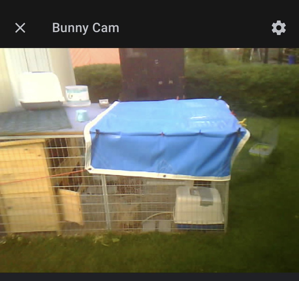 M455E's tweet photo. Finally managed to complete the #bunnycam, ESP32-CAM powered by @esphome_ and completed with a 3D printed case on my #ender3. Easily integrated with @home_assistant. https://t.co/8N33ESxj38
