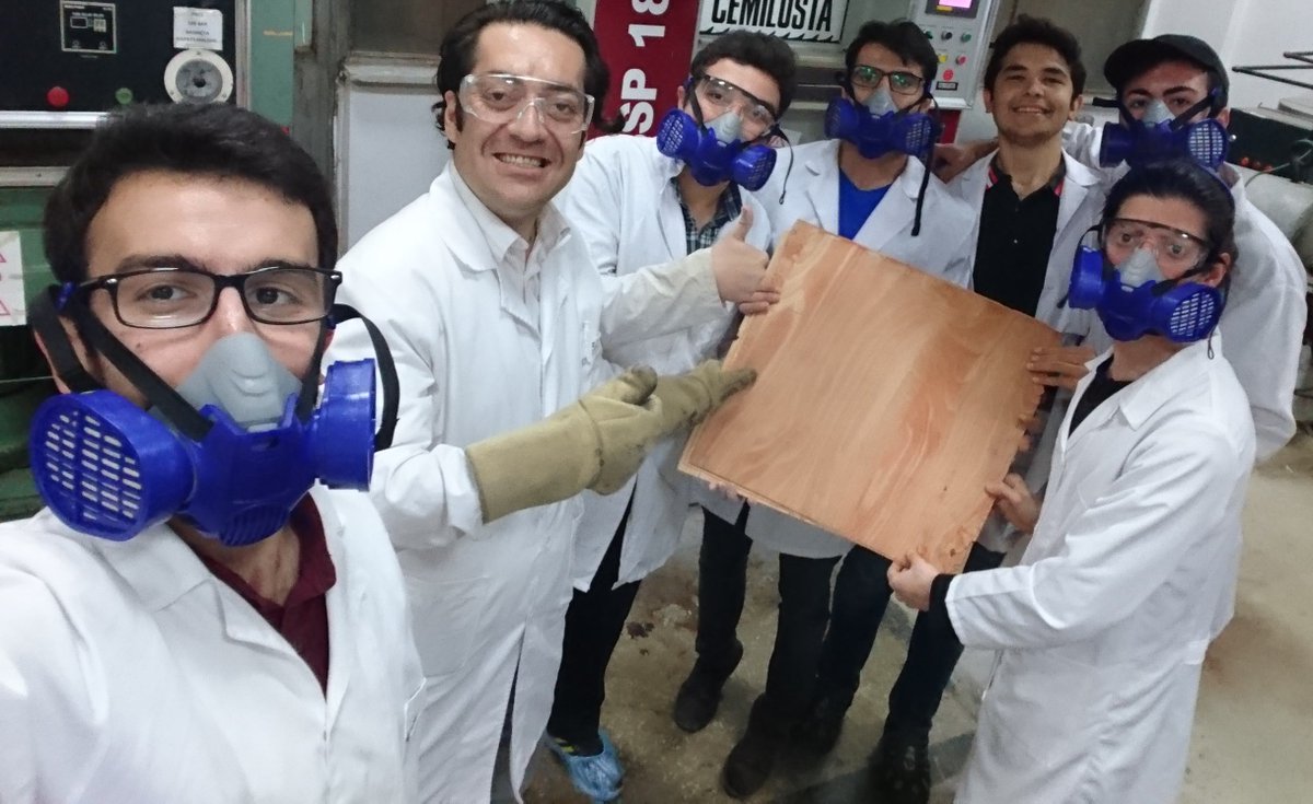 BioNanoTeam's tweet photo. We attended the 63rd SWST International Congress organized by SWST, one of the most prestigious scientific associations in the field of lignocellulosic biomaterials, wood science, engineering, and technology. 

@societywood #swst2020 #swstportoroz @TUBAakademi @TUBAgencakademi https://t.co/xAgOjVx10J