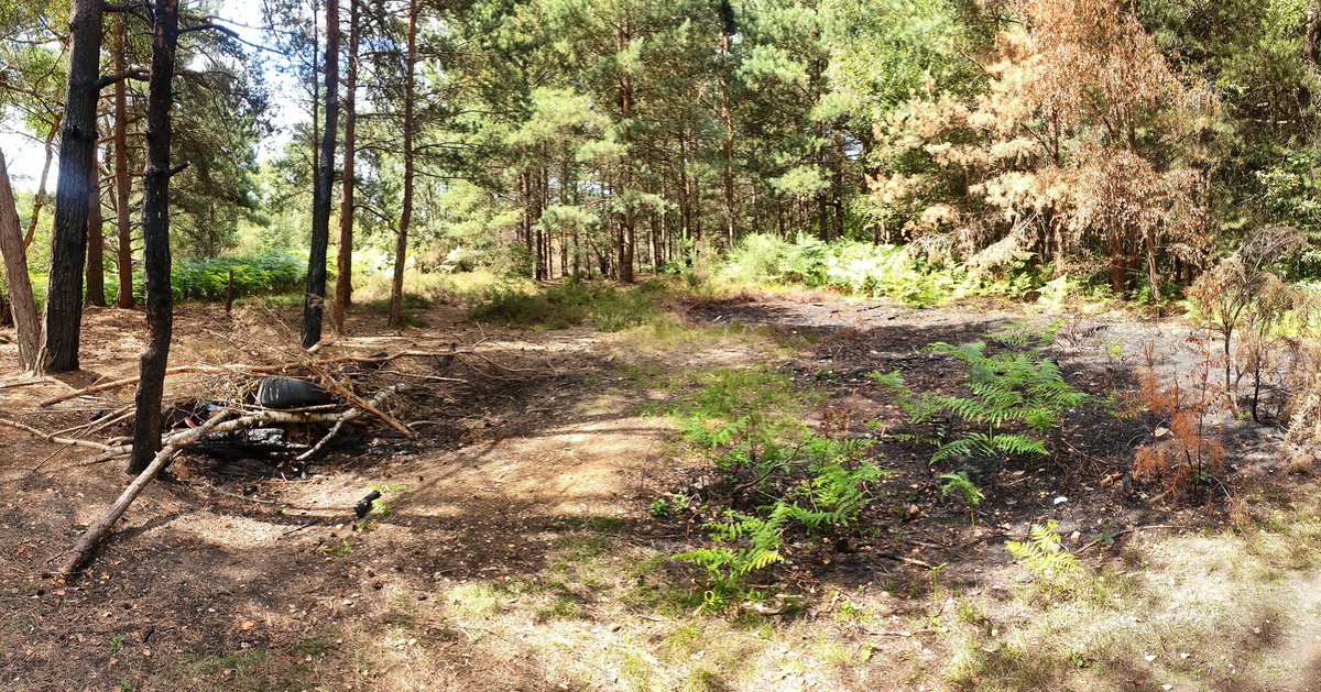 HantsFireDogs's tweet photo. Today we've been @BBSAirport, following an increase in incidents. We patrolled the surrounding forest and found evidence of previous fires and bonfires built ready to us. 

The forest tinder dry right now, please do not have fires. 

#fireinvestigation #fireservice #hantsfiredogs https://t.co/6gZVq9SbXv