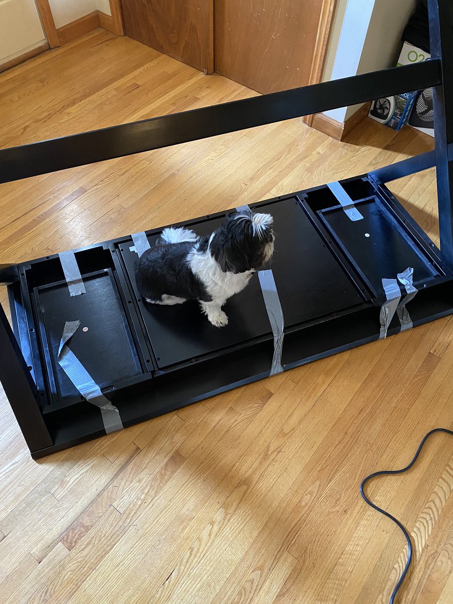 NickCarbs's tweet photo. Don’t worry Cash, we’re not trying to move this desk or anything... 🙄 #hisworld #wejustliveinit https://t.co/Zyscg5gfyp