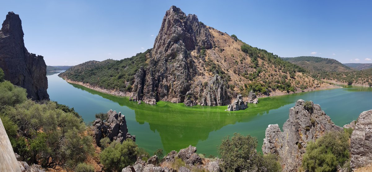 MochilaExpres's tweet photo. Pocos paisajes me han sorprendido tanto como el PN de #Monfragüe Los buitres y águilas reales sobrevolando los riscos y el agua verde es algo que me costará olvidar. #Extremadura https://t.co/HFnc65pJU7