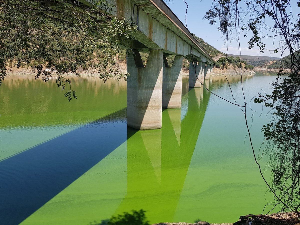 MochilaExpres's tweet photo. Pocos paisajes me han sorprendido tanto como el PN de #Monfragüe Los buitres y águilas reales sobrevolando los riscos y el agua verde es algo que me costará olvidar. #Extremadura https://t.co/HFnc65pJU7