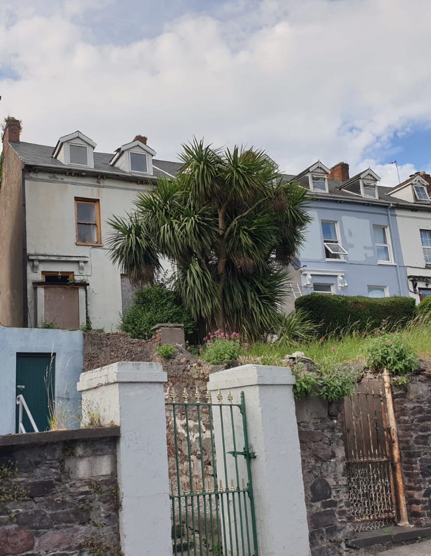 someone's home in  #Cork city, unloved & abandoned, like so many of its heritage properties, & still so many homeless, it all really makes no sense, ethically, economically, socially, environmentally, this end tce has a nice front gate/garden & near the train stn  #citiesforpeople