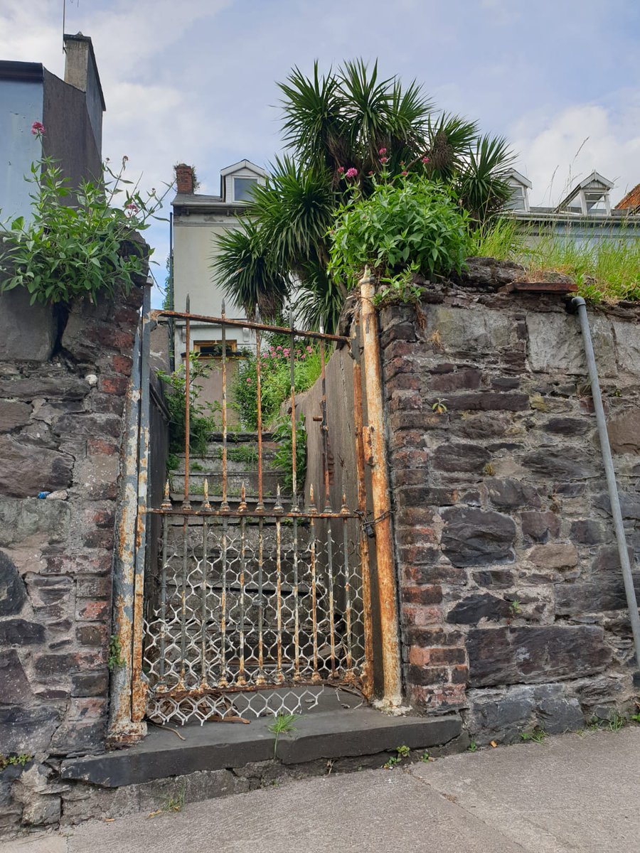 someone's home in  #Cork city, unloved & abandoned, like so many of its heritage properties, & still so many homeless, it all really makes no sense, ethically, economically, socially, environmentally, this end tce has a nice front gate/garden & near the train stn  #citiesforpeople