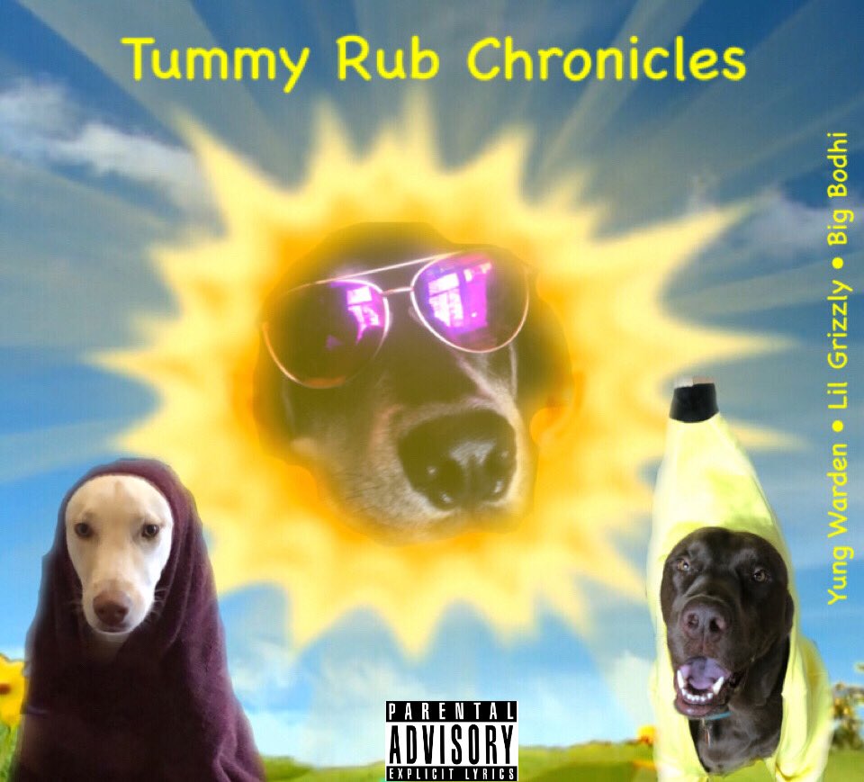 enginearsighted's tweet photo. I made album covers starring my dog and my friend’s dogs as the artists. 

Let me know if I should do more stuff like this: https://t.co/SnsHb3W13a
