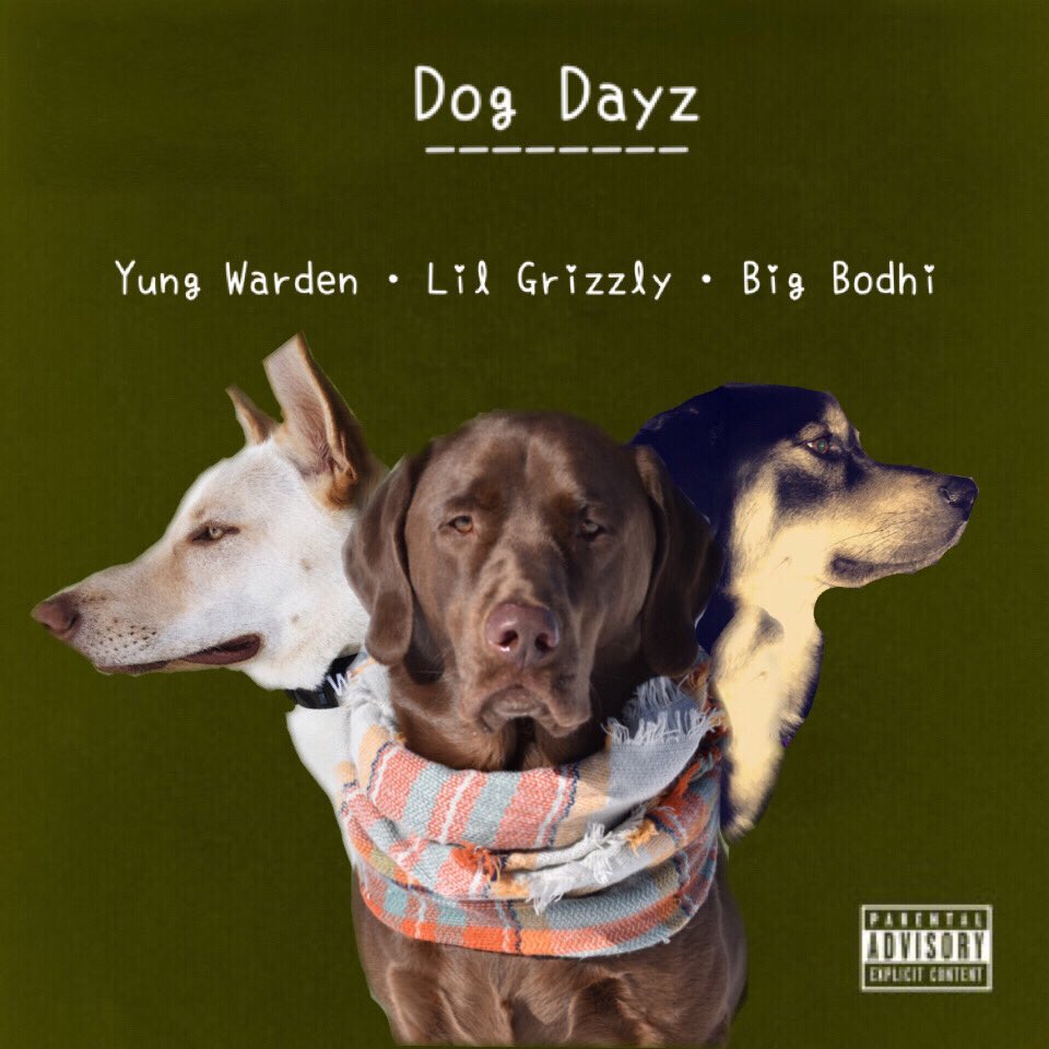 enginearsighted's tweet photo. I made album covers starring my dog and my friend’s dogs as the artists. 

Let me know if I should do more stuff like this: https://t.co/SnsHb3W13a