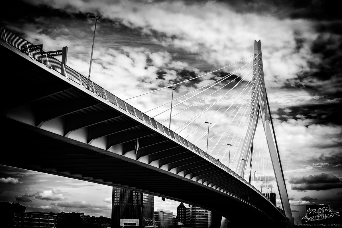 Cristel_Brouwer's tweet photo. Went for a stroll downtown Rotterdam today for GCE cad-service
#Erasmusbrug #Rotterdam #BlackAndWhite #Bridge #photography #Nikon #GCECADSERVICE #ZKER https://t.co/A239xtm95d
