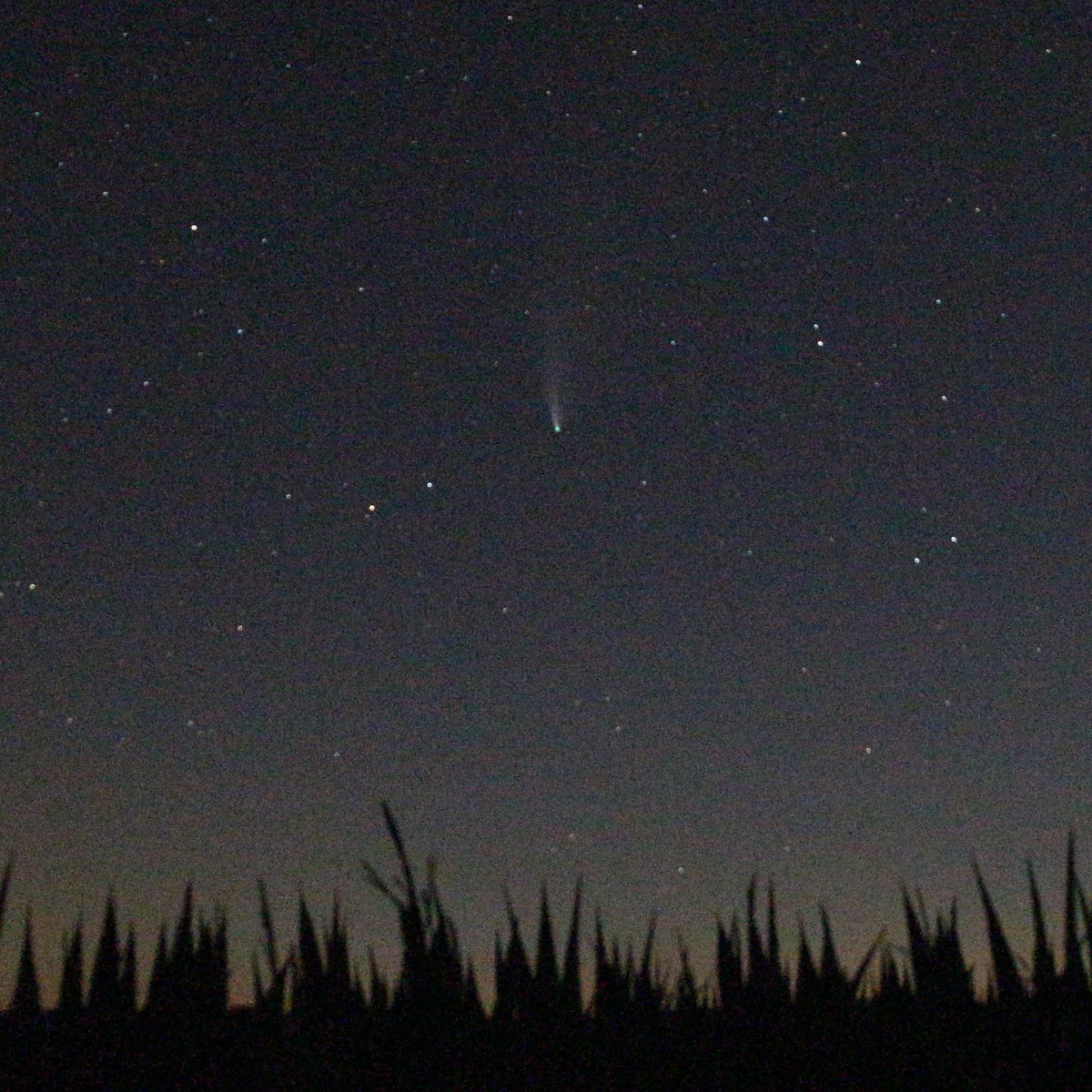 Hab mich auch mal versucht.