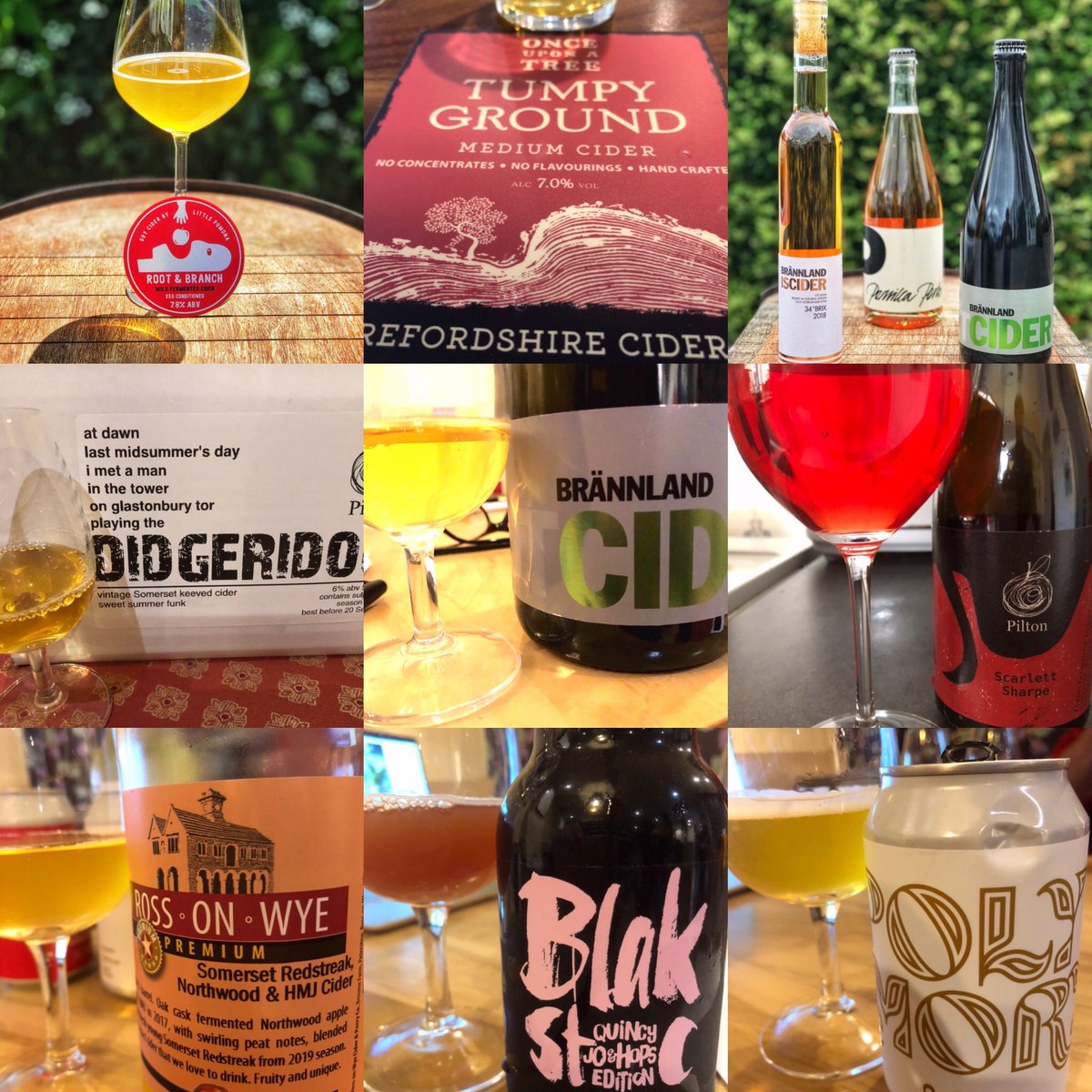 𝔸𝕝𝕚𝕤𝕠𝕟𝕋𝕒𝕗𝕗𝕤𝕥𝕖𝕣 tweet media