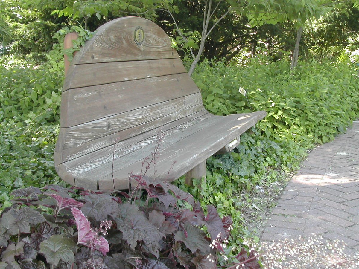 With the dizzying escalation of concern – and reaction – to the coronavirus, you may be wondering: what are the implications for spending time in nature? #covid19
buff.ly/38QlMgZ